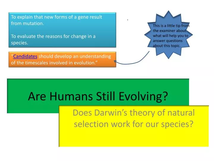 are humans still evolving