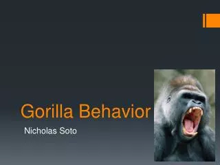 Gorilla Behavior
