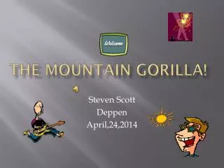 The mountain gorilla!