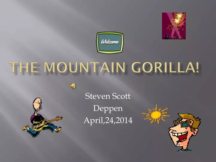 the mountain gorilla