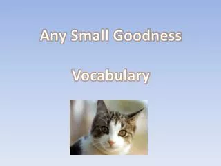 Any Small Goodness Vocabulary