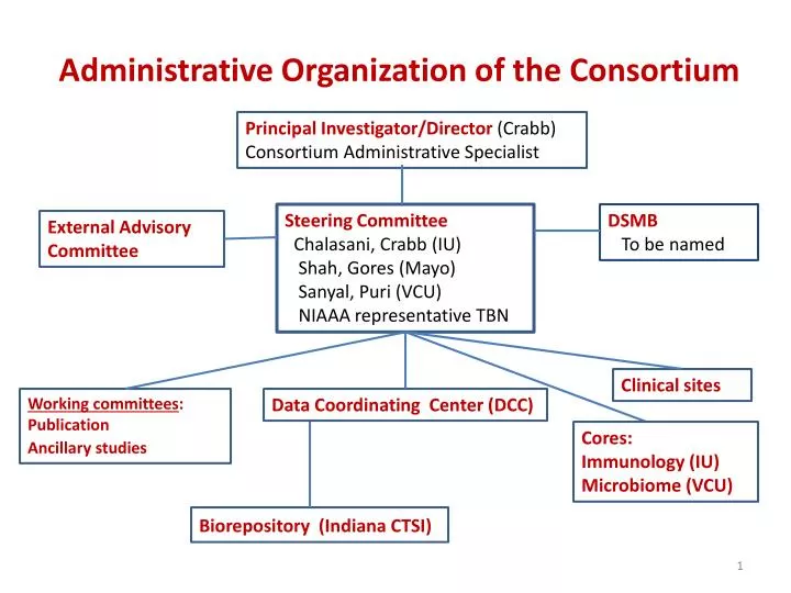 administrative organization of the consortium