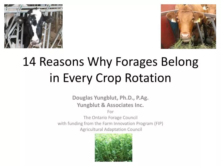 14 reasons why forages belong in every crop rotation