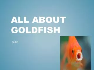 All about goldfish