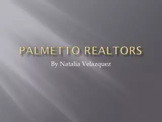 Palmetto realtors