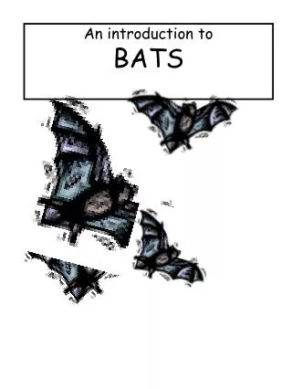 An introduction to BATS