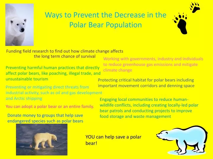ways to prevent the decrease in the polar bear population