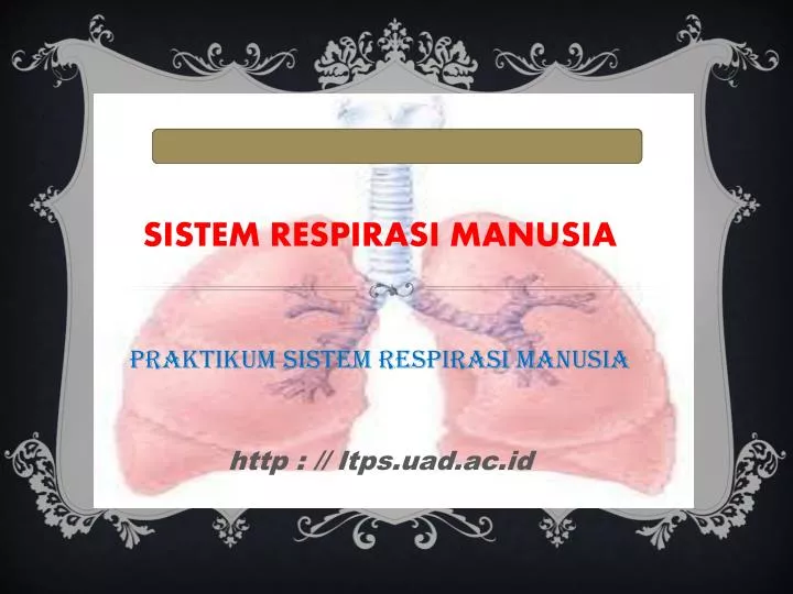 sistem respirasi manusia praktikum sistem respirasi manusia http ltps uad ac id