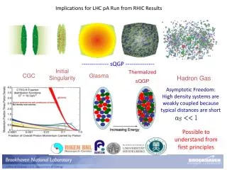 Implications for LHC pA Run from RHIC Results