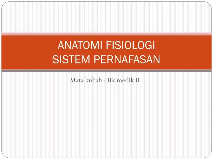 anatomi fisiologi sistem pernafasan