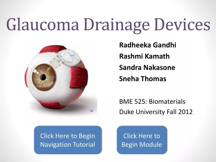 glaucoma drainage devices