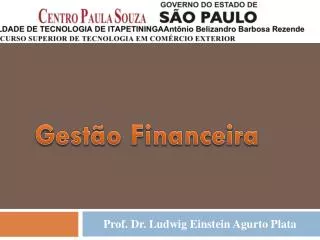 gest o financeira