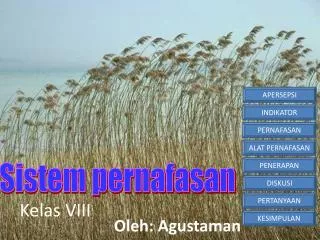 kelas viii