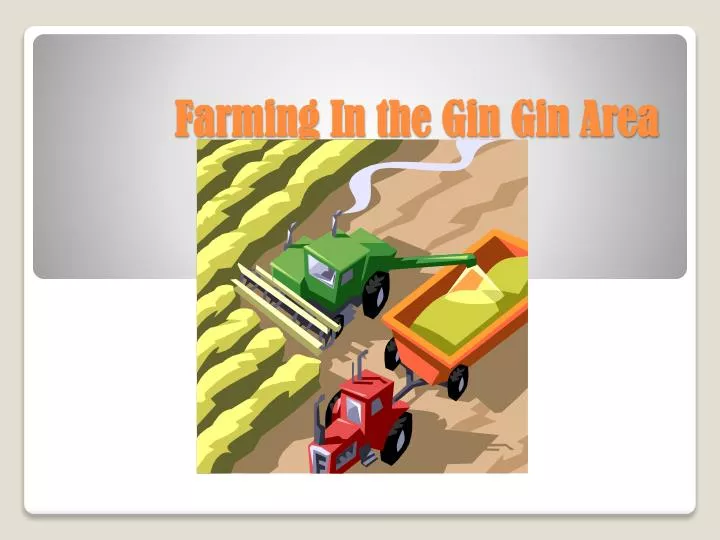 farming in the gin gin area