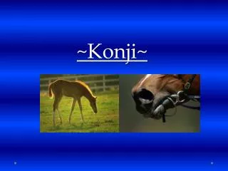 ~Konji~