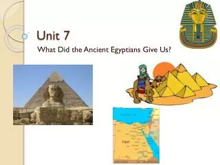 unit 7