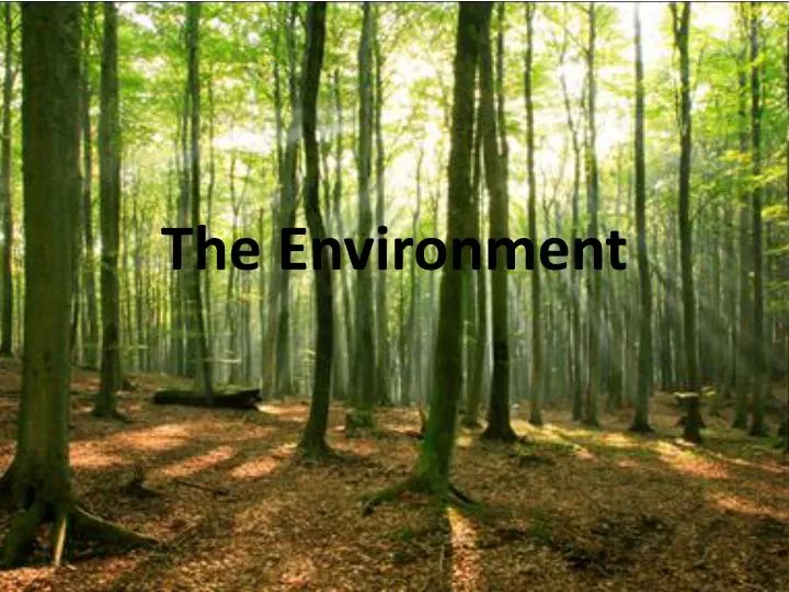 the environment