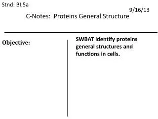 C-Notes: Proteins General Structure