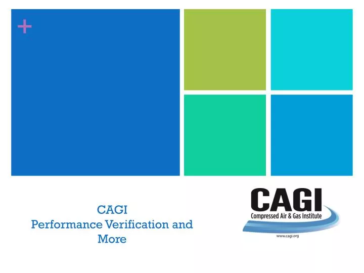 cagi performance verification and more