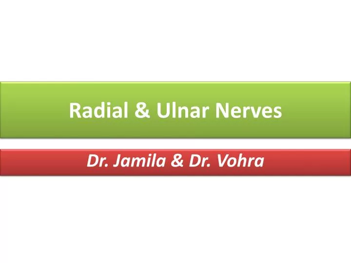 radial ulnar nerves