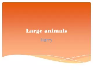 Large animals