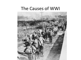 The Causes of WWI