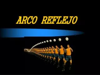 arco reflejo