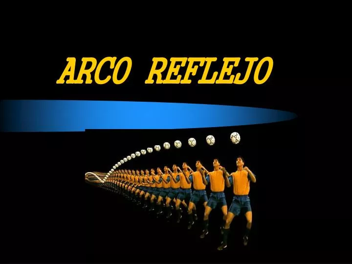 arco reflejo