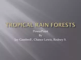 Tropical Rain Forests