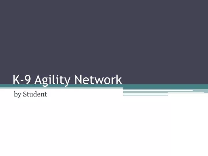 k 9 agility network