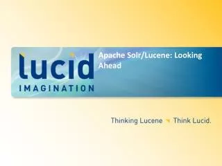 Apache Solr/Lucene: Looking Ahead