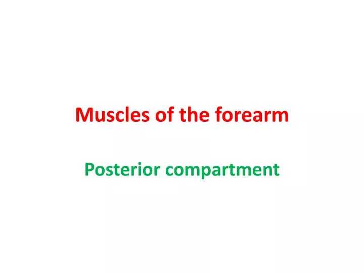 muscles of the forearm