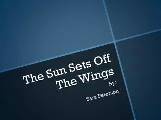 The Sun Sets Off The Wings