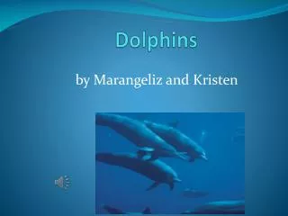 D olphins