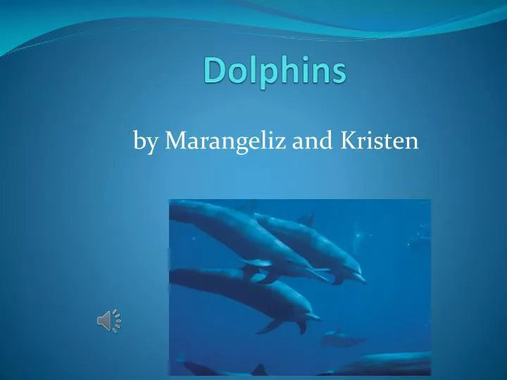 d olphins