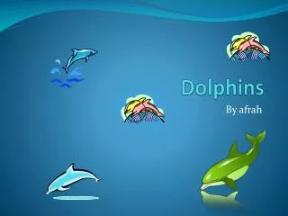 dolphins