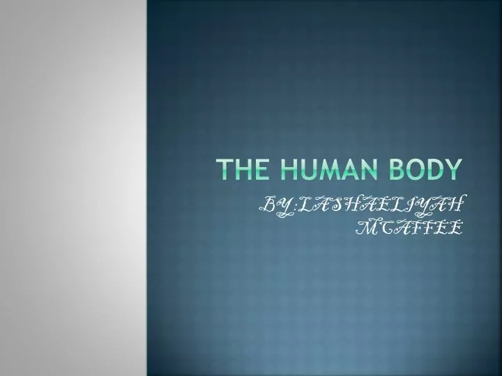 the human body