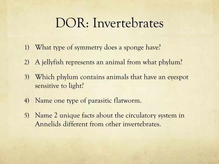 dor invertebrates