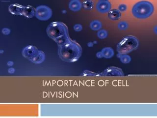 Importance of Cell Division