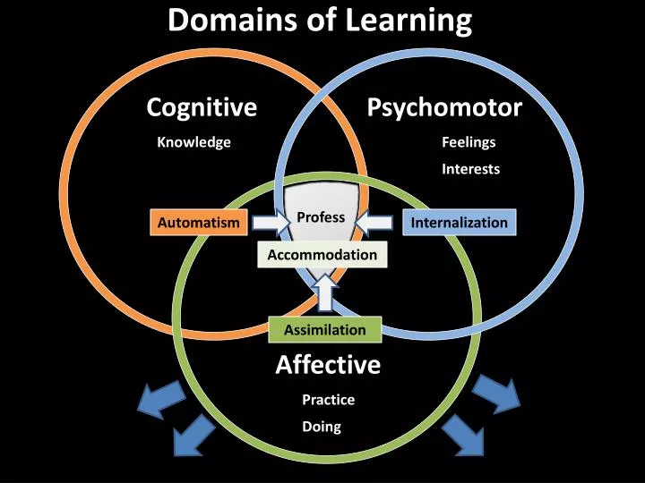 domains of learning
