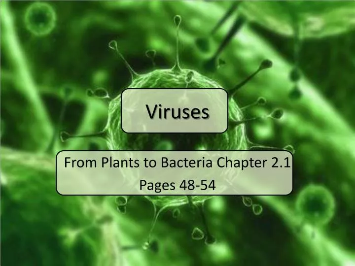 viruses