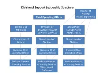 Divisional Support Leadership Structure