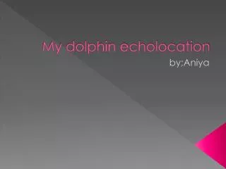 My dolphin echolocation