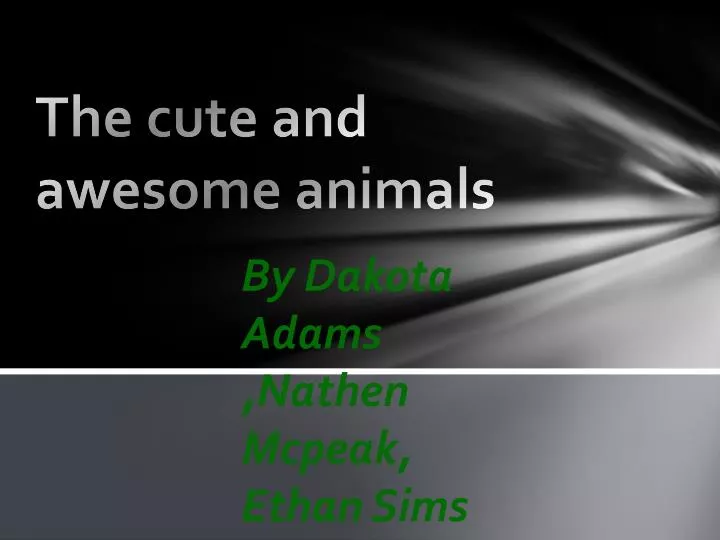 the cute and awesome animals