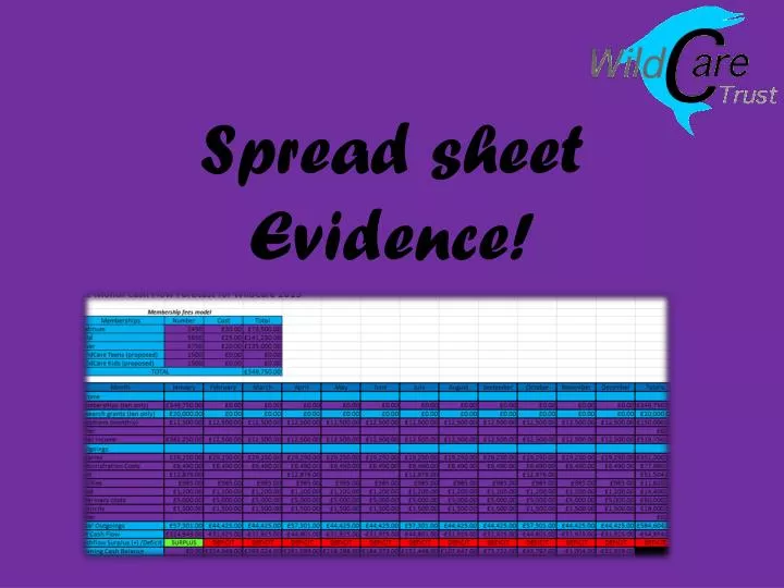 spread sheet evidence