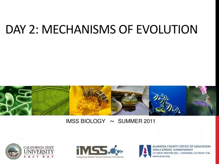 day 2 mechanisms of evolution