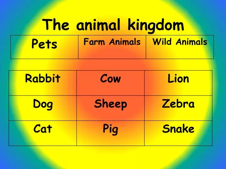 the animal kingdom