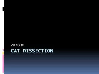 Cat Dissection
