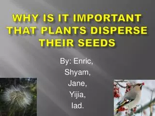 Why is it important that plants disperse their seeds