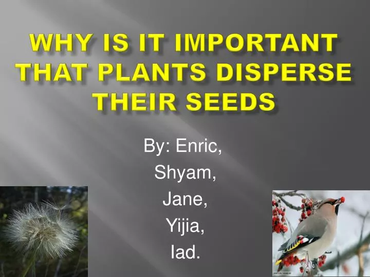 why is it important that plants disperse their seeds